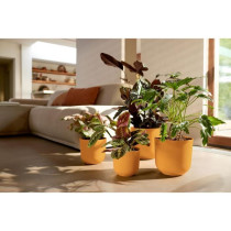 Pot de fleur - Elho - Jazz Rond - Jaune - L 35 x B 34.5 x H 32 cm - In