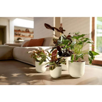 Pot de fleur - Elho - Jazz Rond - Blanc - L 35 x B 34.5 x H 32 cm - In