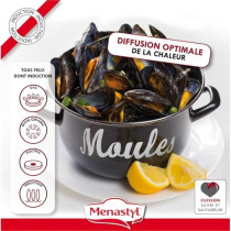 Marmite a moule - MENASTYL - 3645564 - En acier émaillé - Noir - 24