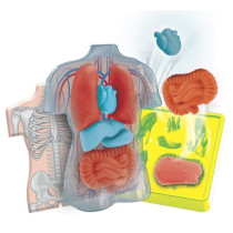 Mini Labo d'anatomie CLEMENTONI