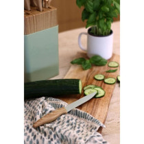 Bloc de couteaux 6 pieces - MENASTYL - 5041060 - Lame céramique - En