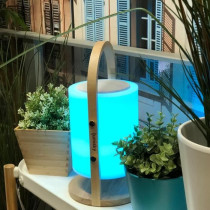 Lampe enceinte bluetooth sans fil - LUMISKY - WOODY PLAY - H37 cm - Po