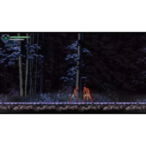 Chronicles of the Wolf - Jeu Nintendo Switch