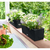 Jardiniere - Balconera cottage 50 - Kit complet - Noir graphite - 8 L