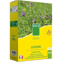 Luzerne - BHS - 500g | 100 m² | Améliore le sol, résiste au froid e