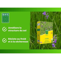 Luzerne - BHS - 500g | 100 m² | Améliore le sol, résiste au froid e