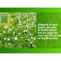 Trefle Blanc - BHS - 500 m²| Favorise la biodiversité, s'adapte a to