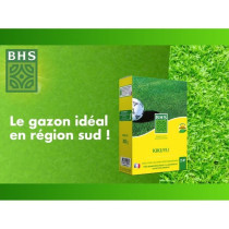 Kikuyu - BHS - 300g | 25 m² | Zones méditerranéennes | Résistant a
