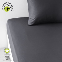 Drap housse - TODAY - 160 x 200 cm + 30 cm - Coton - Organic Fusain