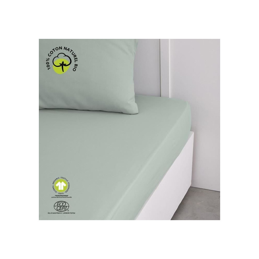 Drap housse - TODAY - 160 x 200 cm + 30 cm - Coton - Organic Celadon Drap housse - TODAY - 160 x 200 cm + 30 cm - Coton - Organic Celadon