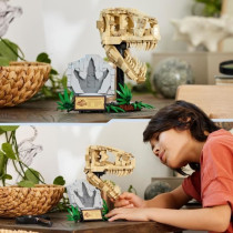 LEGO 76964 Jurassic World Les Fossiles de Dinosaures : Le Crâne du T.