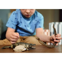 Coffret Duel Aligator/Anaconda, figurines animaux sauvages, Schleich 4