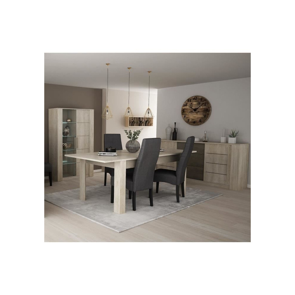 DEMEYERE Ensemble Séjour Table a manger 170 cm + Enfilade 2 portes +